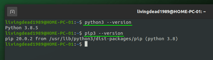 check python3 and pip3 versions
